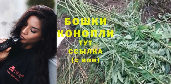 кокс Вяземский