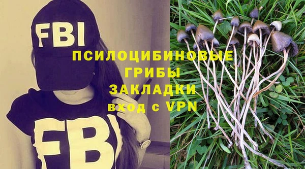 кокс Вяземский